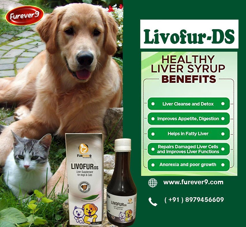  furever 9 Livofur DS healthy syrup